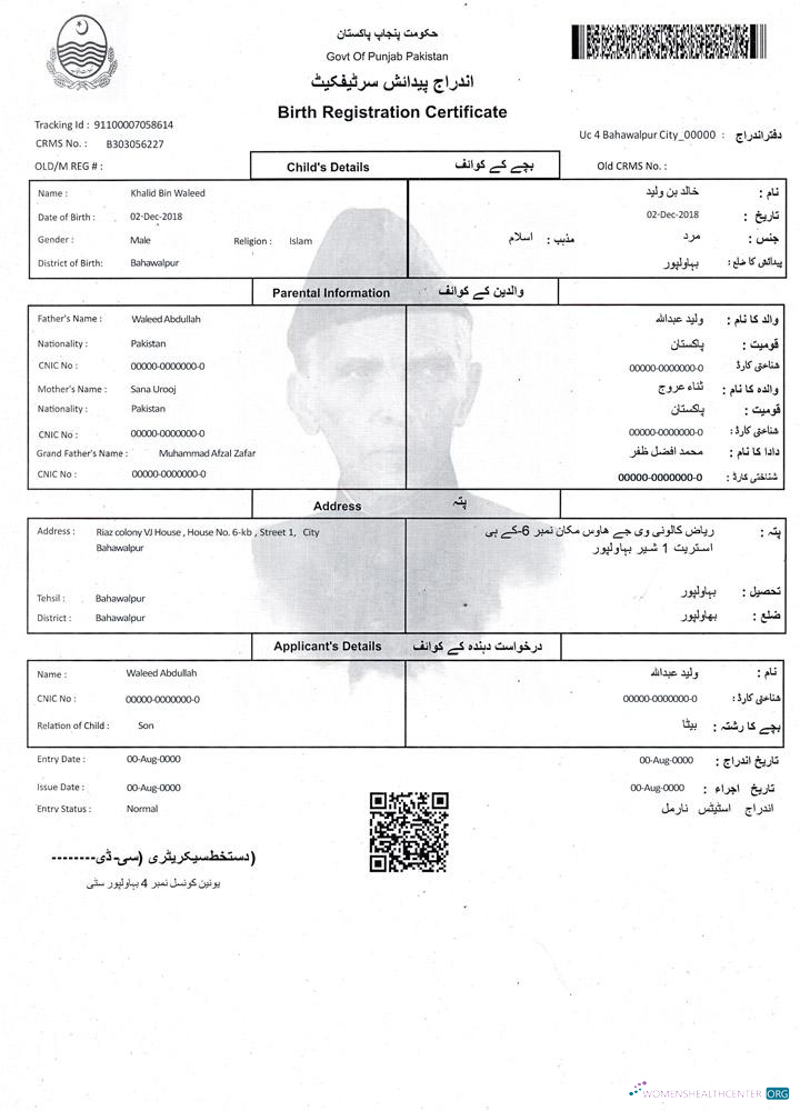 Download Pakistan Birth Registration certificate Photoshop template